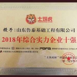 2018年度綜合實力企業(yè)十強